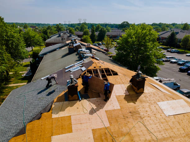 Best Flat Roof Repair Services  in Hattiesburg, MS