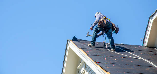 Best Roof Maintenance Services  in Hattiesburg, MS